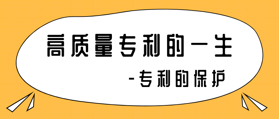 高质量专利的一生-专利的保护
